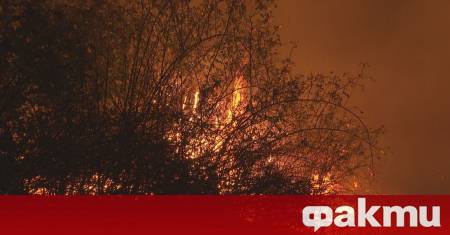 Пожарът в Острицата 2 е на голям периметър Около 25