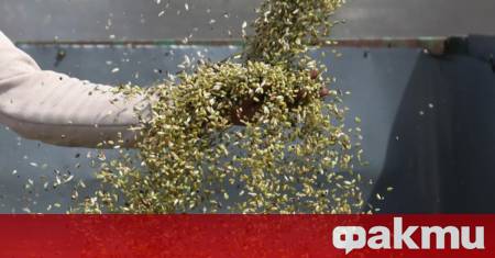 Горещата вълна която удари Европа през юни намали стойността на