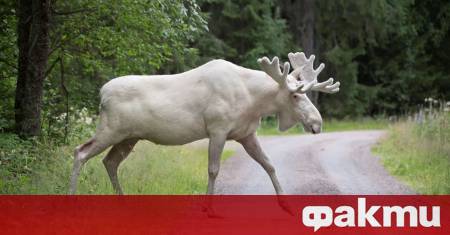 24 годишен мъж загина а жена беше ранена рано в петък