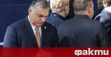Новият главен изпълнителен директор на най големия кредитор в Унгария