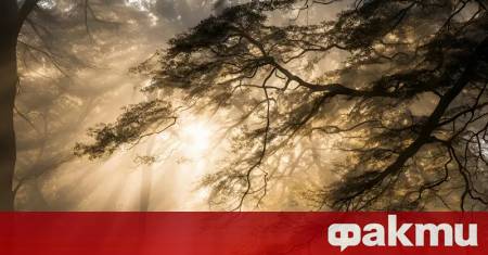 Днес не се очаква промяна в синоптичната обстановка предаде БНР