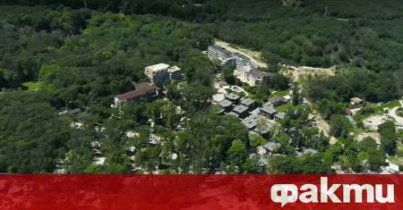 Регионалната дирекция по горите е издала над 20 акта за