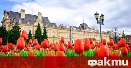 Зеленината в града не е просто приоритет – тя е