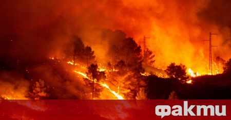 Горските пожари по френското атлантическо крайбрежие се разгоряха отново, съобщиха