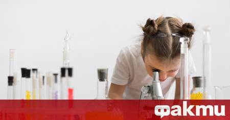 Министерството на образованието и науката съвместно с училища центрове за