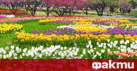 Китай официално откри първата национална ботаническа градина в Пекин пише