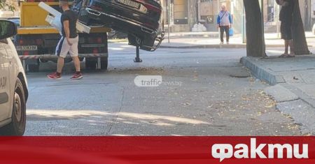 Луксозно ауди, повредено от паяк на Общинска охрана в Пловдив,