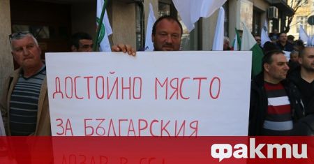 Лозарите излязоха на национален протест пред Министерството на земеделието съобщи
