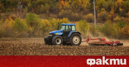 Земеделските стопани от Пловдивска област претърпели под 100 щети от