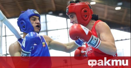 Българските боксьори постигнаха нови две победи на Европейското първенство за
