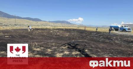 Канадски пожарникари са задържали за разпит хищна птица която е