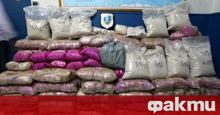 Общо 271 килограма кокаин бяха открити в контейнер на пристанището