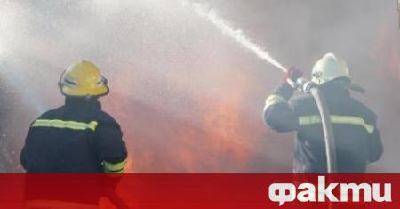Пожарникар от Пловдив причинил смъртта на колега на път за