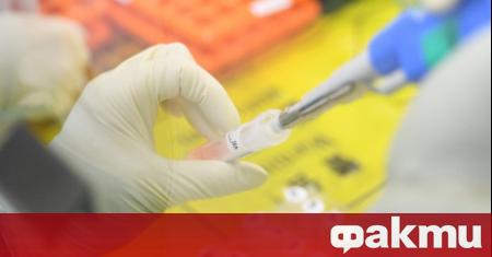 Област Пазарджик влезе в червената зона заради Covid 19 За последното