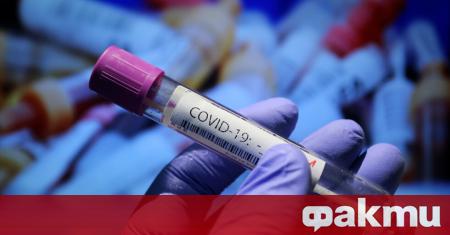 40 са случаите на новозаразени с коронавирус през последните 24