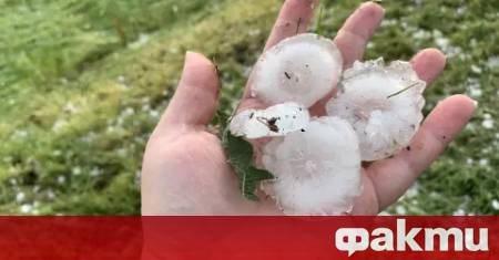 Освен проблема с измръзването сериозни щети и тази пролет нанесоха