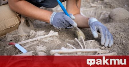 Генетичното секвениране на човешки останки отпреди 45 000 години открити