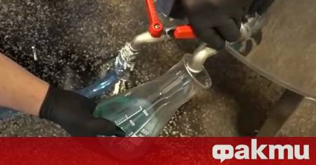 Комбуча – или така наречената жива напитка – се произвежда