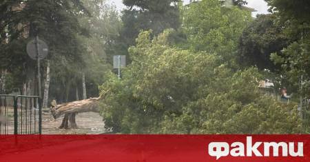 Силна буря се разрази този следобед в Монтана Силата на