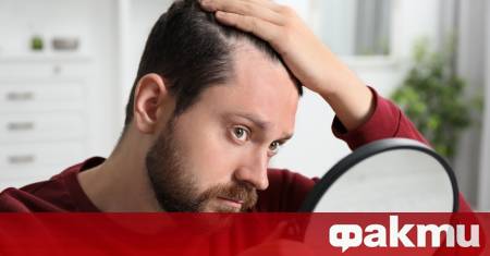 Има научни основания да се смята че яйцата могат да