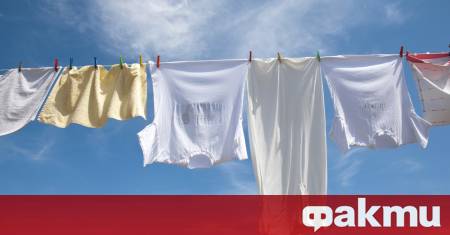 Прости навици у дома могат да имат неочаквано влияние върху