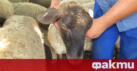 Абсолютен колапс в борбата със заразните заболявания Така коментира пред