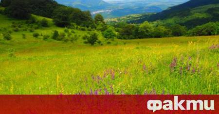 Ще бъде слънчево в първия ден от астрономическото лято с