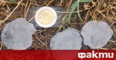 Силна градушка с размерите на орехи нанесе сериозни щети по