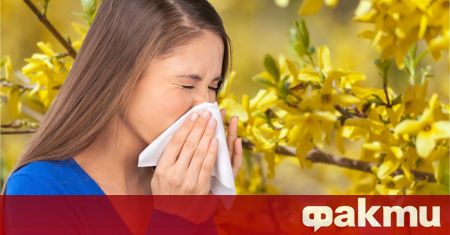 Повечето хора свързват упоритите алергии с пролетта но тя не
