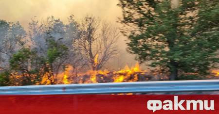 17 екипа на пожарната остават в Сакар Пожарът там все
