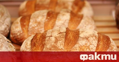 Към момента цената на българския хляб в търговската мрежа който