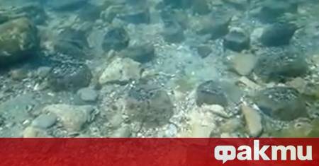 Древни каменни стени останки от жилищни сгради предмети от бита