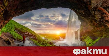 Комари в Исландия и още: как климатичните промени разболяват