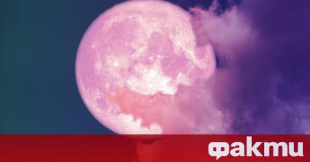 През изминалата нощ светът наблюдава Супер розова Луна Явлението се