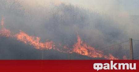 Пламъците са обхванали сухи треви в района на язовира На