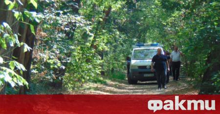 Мъж се е самоубил, обесвайки се в парк в Пловдив.