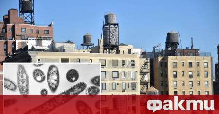 Департаментът по здравеопазване на Ню Йорк обяви тревожни резултати от
