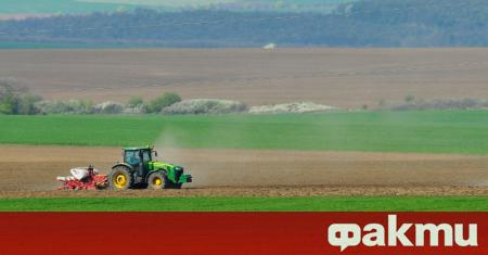 Критично е състоянието на пшеничните посеви в Североизточна България а