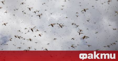 Българската агенция по безопасност на храните предприе мерки за контрол