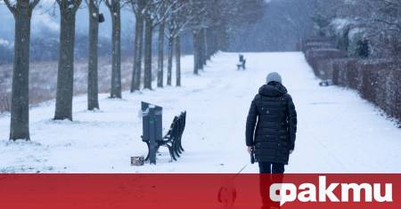 Очакваната снежна буря над Германия хвърля сянка на несигурност върху