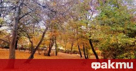 Максималните температури днес ще са от 9 11 deg в северните райони