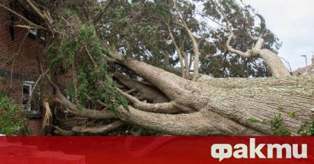 Във Великобритания едно дете е починало а друго е в