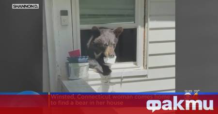 В японския град Китаками префектура Ивате мечка влязла в къща