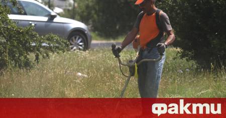 Цените за косене на крайпътна растителност са 68 09 лв