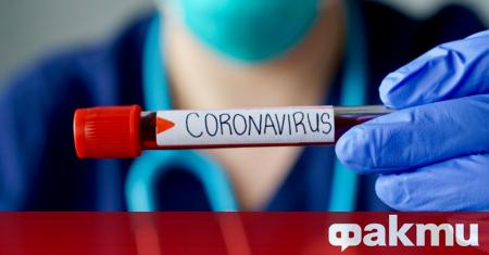 Маймуни, заразени с новия коронавирус, са били защитени от реинфекция