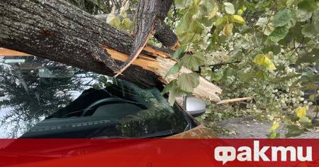 Ураганен вятър се изви в Монтана и нанесе сериозни щети