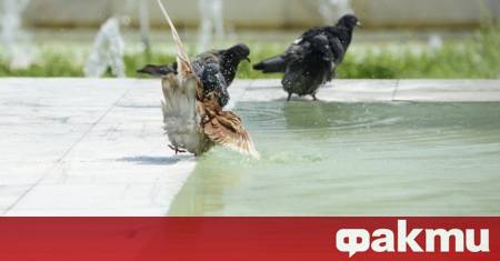 Неделният ден ще бъде слънчев Ще духа слаб в източните