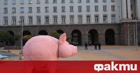 Скулптурата на прасето която стана символ на най големите протести