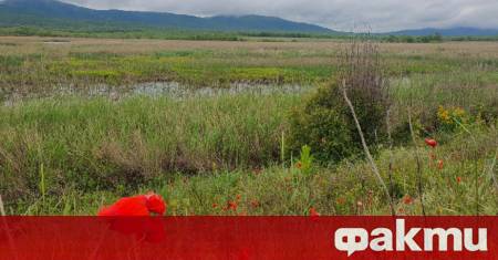 Минималните температури ще са от 14 до 20° в София