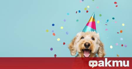 На 26 август светът се потапя в едно весело шумно